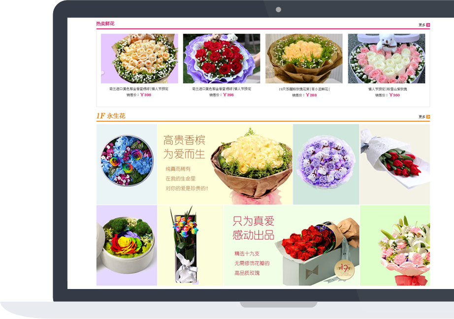 網(wǎng)站建設案例效果圖