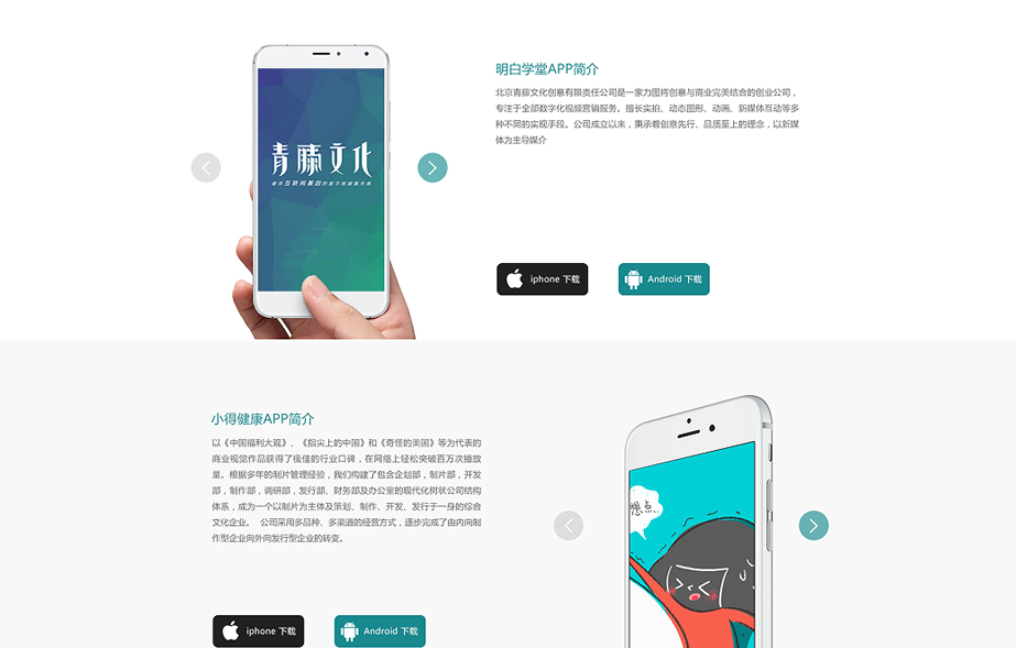 網(wǎng)站建設(shè)案例效果圖