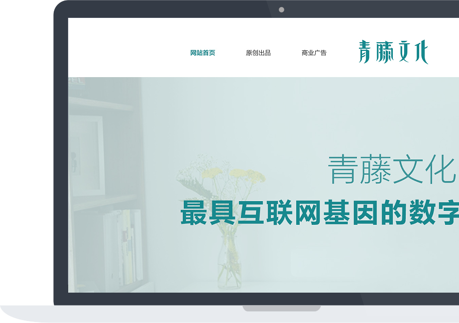 網(wǎng)站建設(shè)案例效果圖