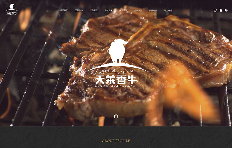 網(wǎng)站建設(shè)案例效果圖