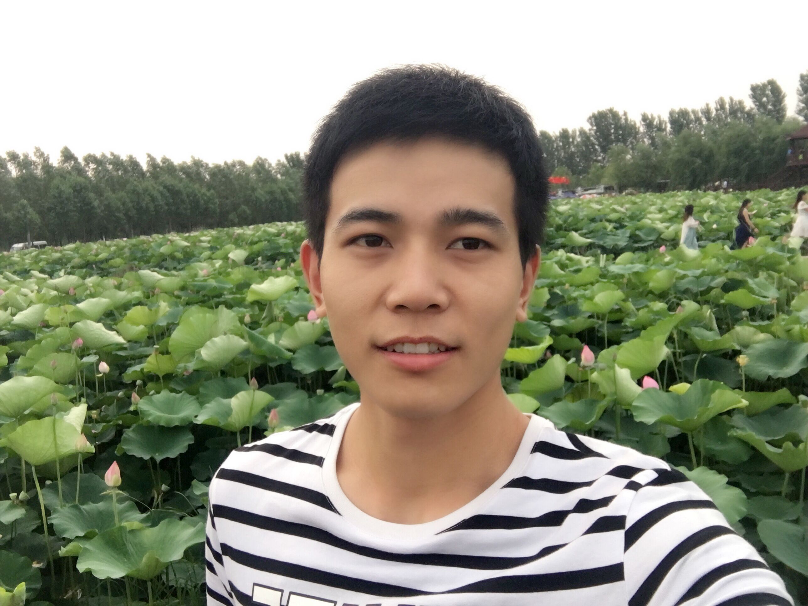 網(wǎng)頁(yè)效果圖