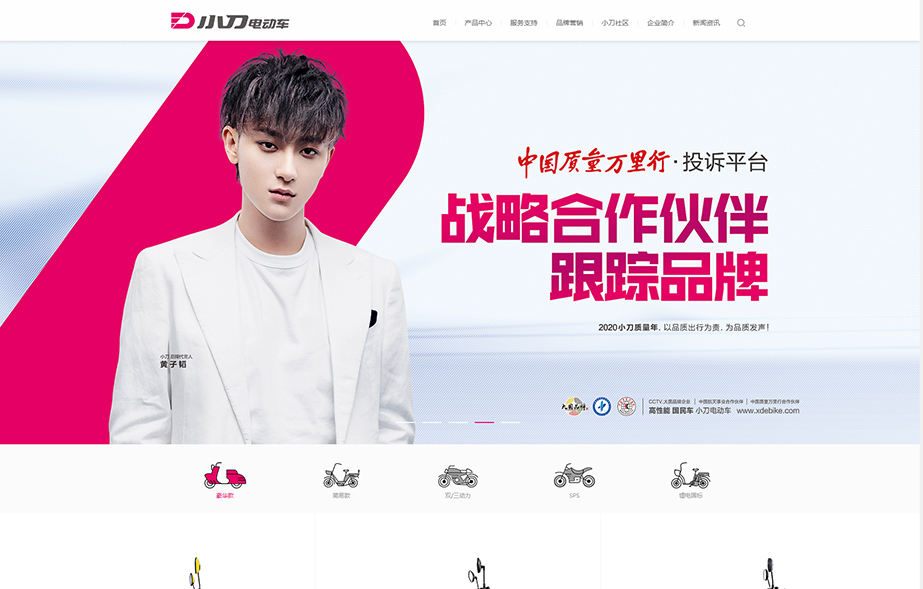 網(wǎng)站建設案例效果圖